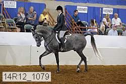 14r12_1079 proof