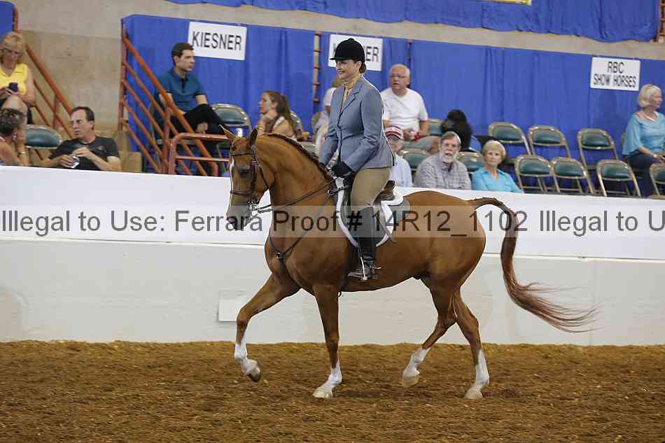 Proof 14r12_1102