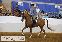 14r12_1102 proof