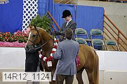 14r12_1124 proof