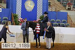 14r12_1189 proof