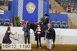 14r12_1190 proof