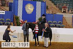 14r12_1191 proof