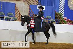 14r12_1192 proof