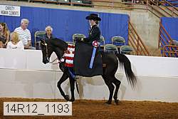 14r12_1193 proof