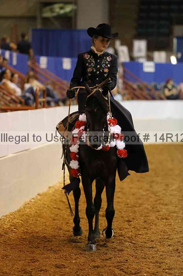 Proof 14r12_1195