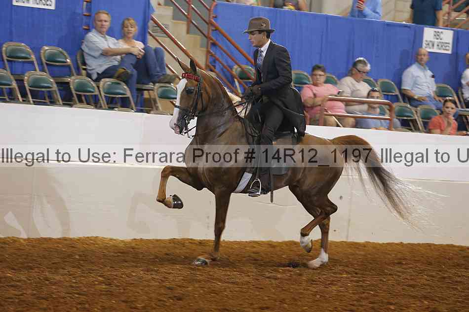 Proof 14r12_1197