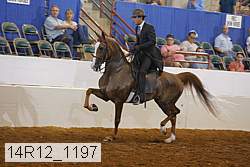 14r12_1197 proof