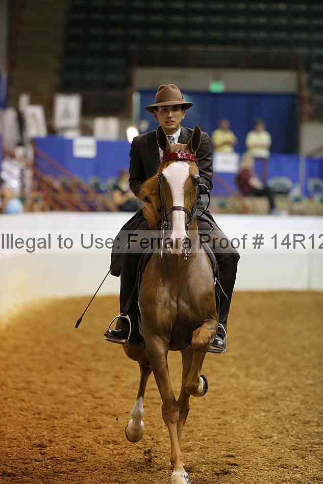 Proof 14r12_1201