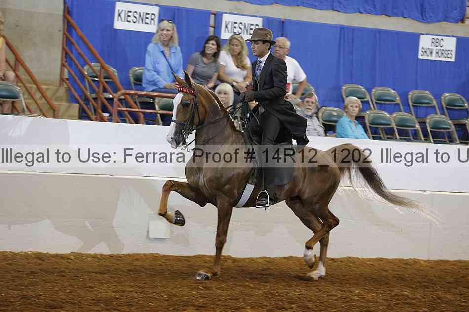 Proof 14r12_1202