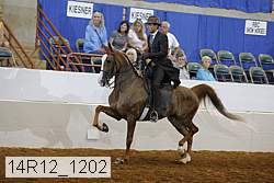 14r12_1202 proof