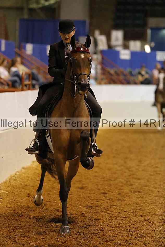 Proof 14r12_1203