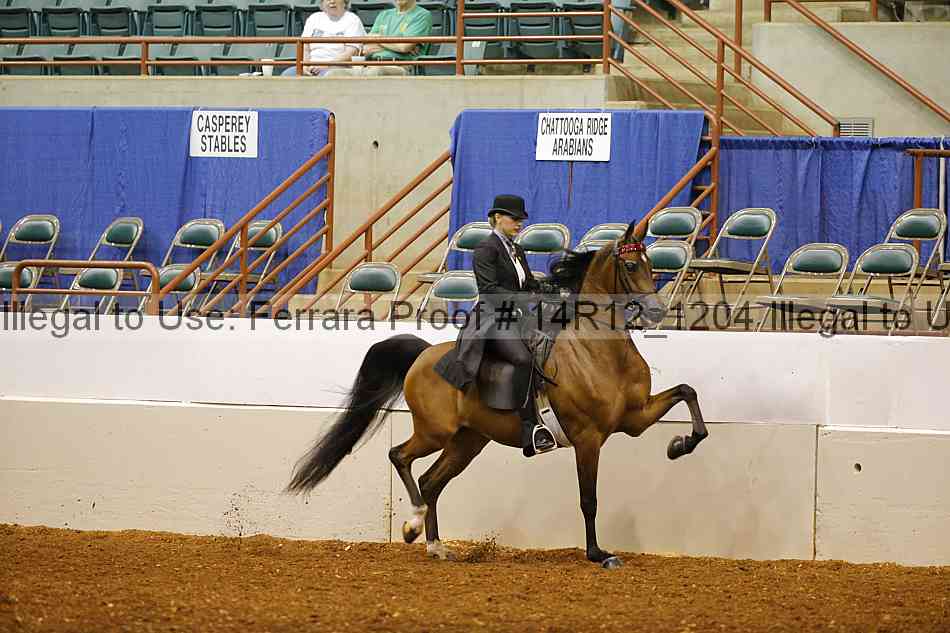 Proof 14r12_1204