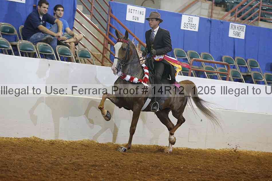 Proof 14r12_1205