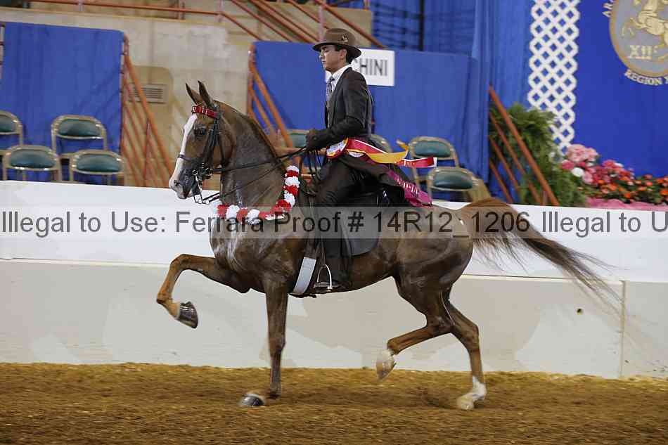 Proof 14r12_1206