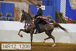 14r12_1206 proof
