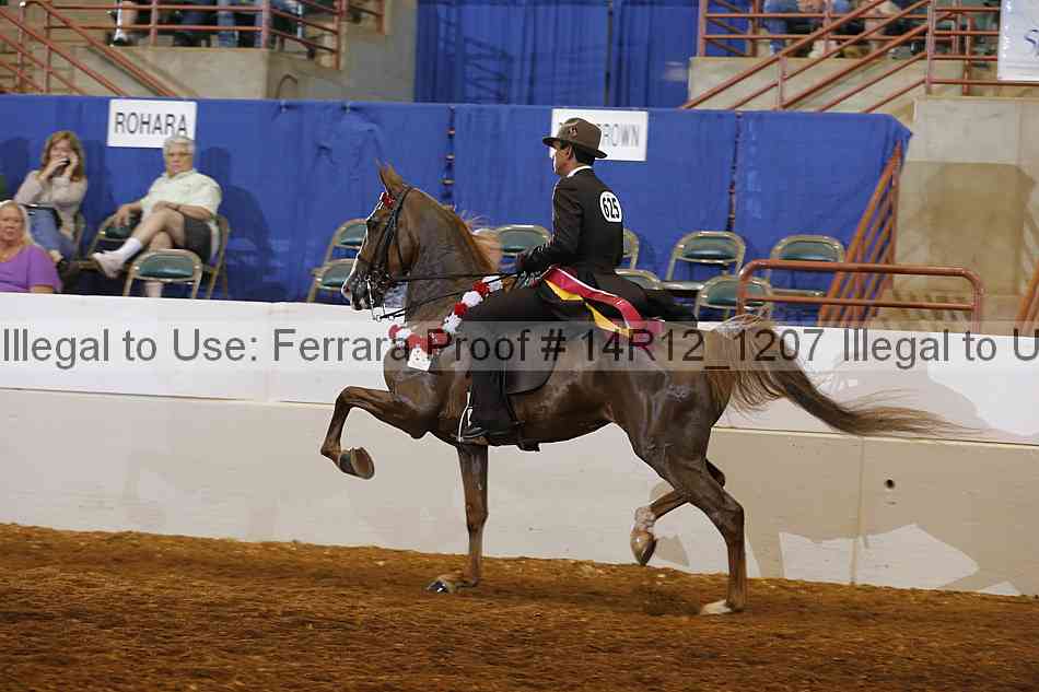 Proof 14r12_1207