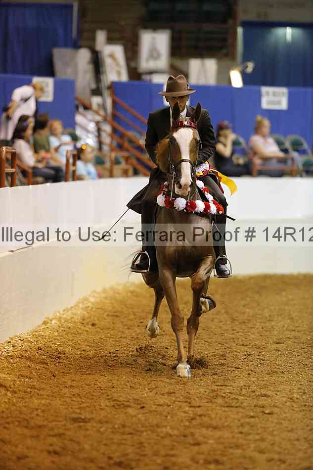 Proof 14r12_1208