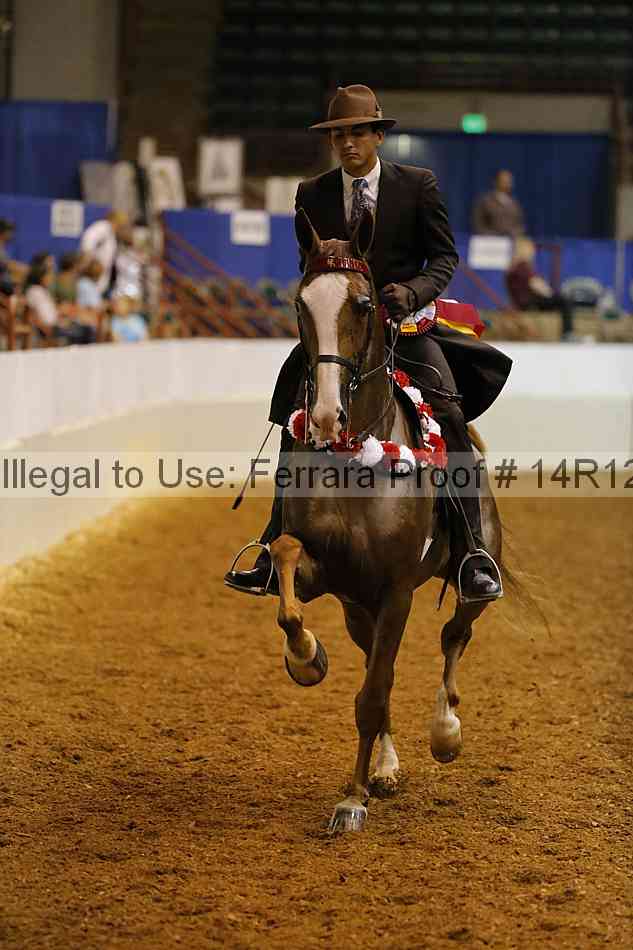 Proof 14r12_1209