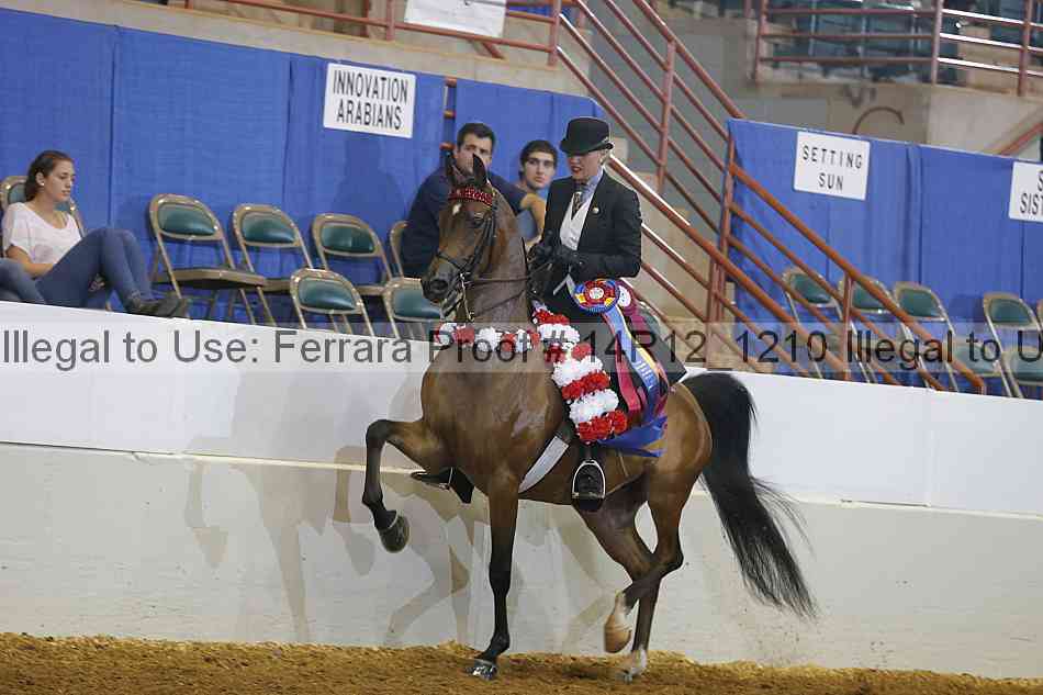 Proof 14r12_1210