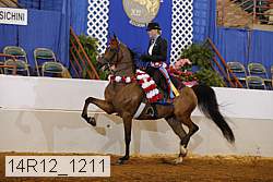14r12_1211 proof