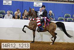 14r12_1213 proof
