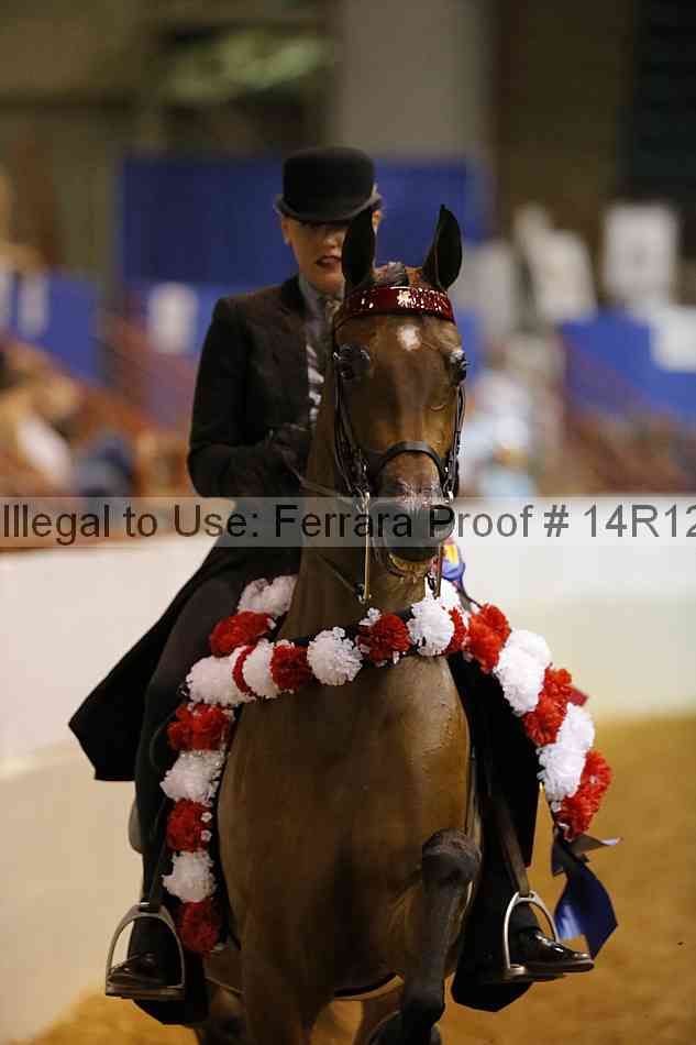 Proof 14r12_1216
