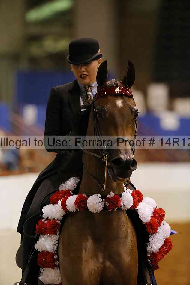 Proof 14r12_1217