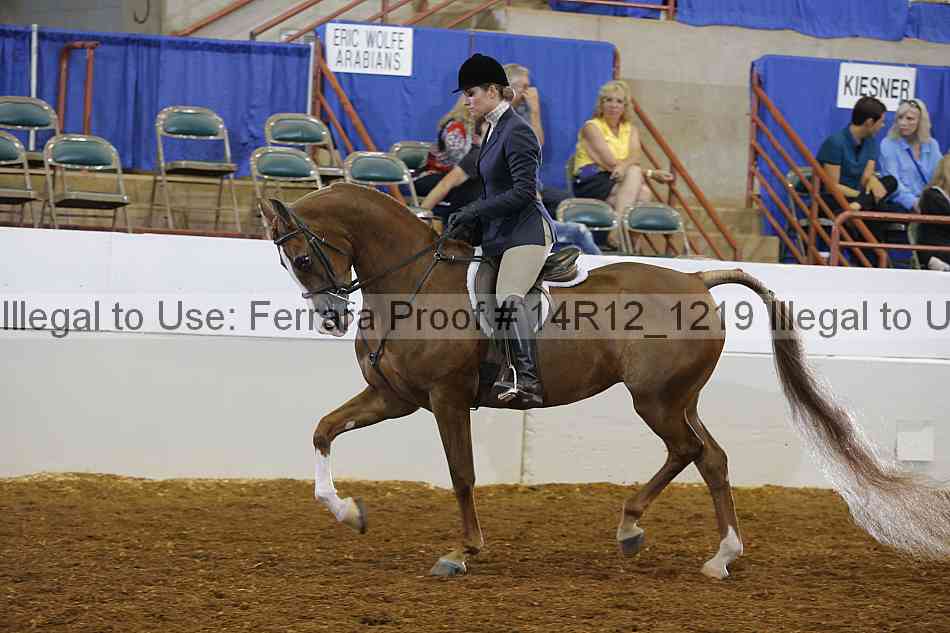 Proof 14r12_1219