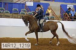 14r12_1219 proof