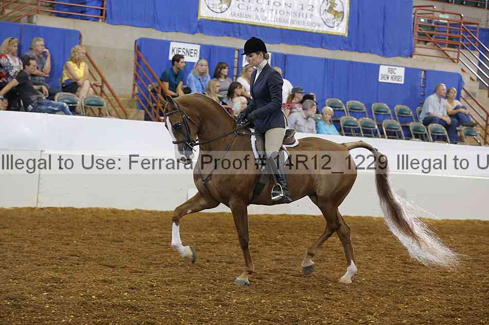 Proof 14r12_1229