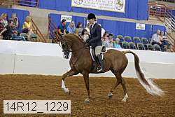 14r12_1229 proof