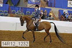 14r12_1232 proof
