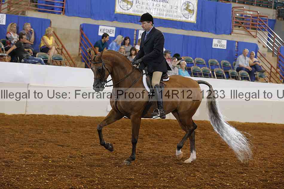 Proof 14r12_1233