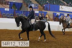 14r12_1238 proof