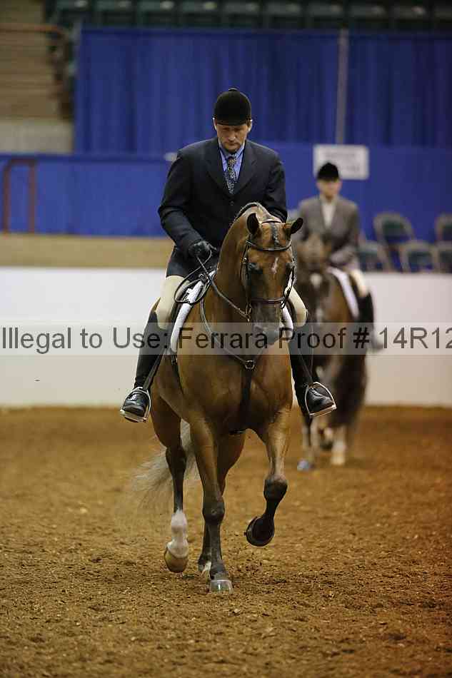 Proof 14r12_1239