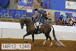 14r12_1246 proof