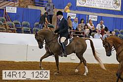 14r12_1252 proof