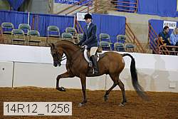 14r12_1256 proof