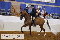 14r12_1260 proof
