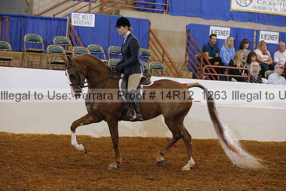Proof 14r12_1263