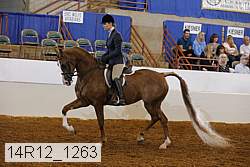 14r12_1263 proof