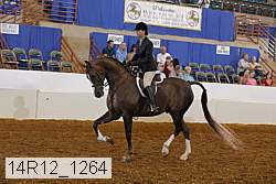 14r12_1264 proof