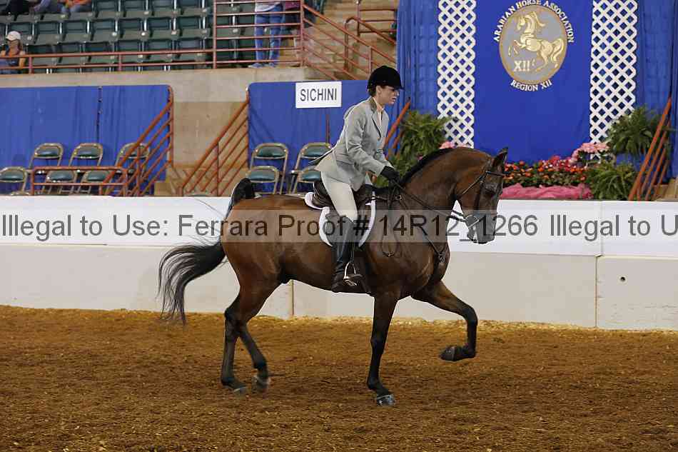 Proof 14r12_1266