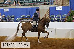 14r12_1267 proof