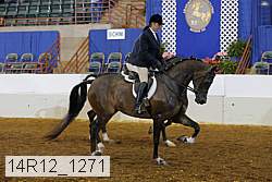 14r12_1271 proof