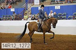 14r12_1272 proof