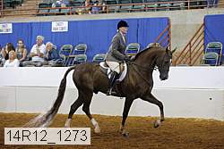 14r12_1273 proof