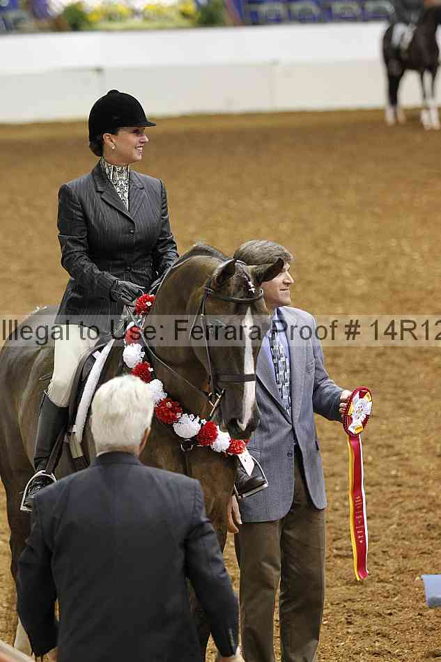 Proof 14r12_1276