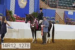 14r12_1278 proof